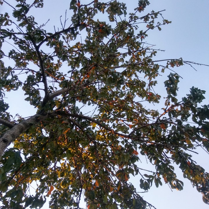 1524907233174827968259