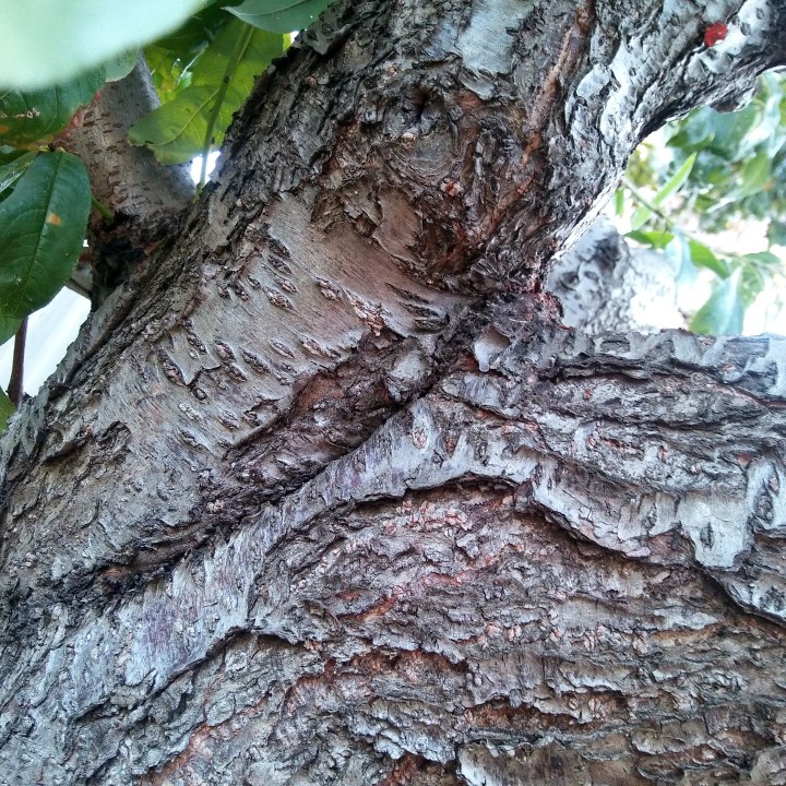 1524907373645895236249