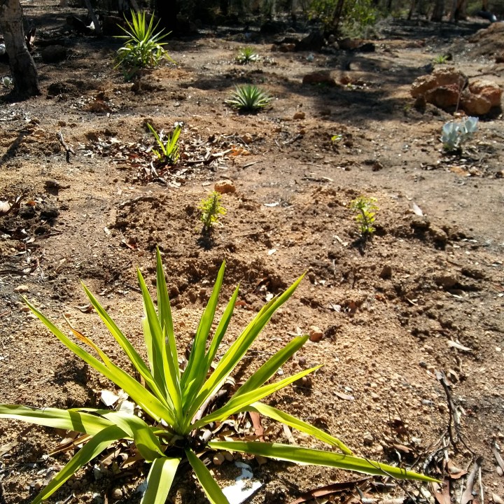 may 2018 download 1122