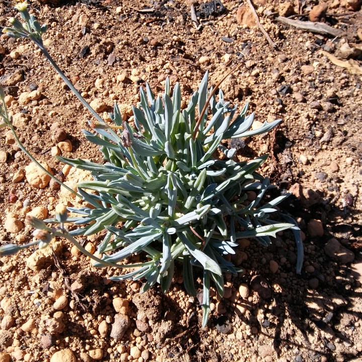 may 2018 download 1124