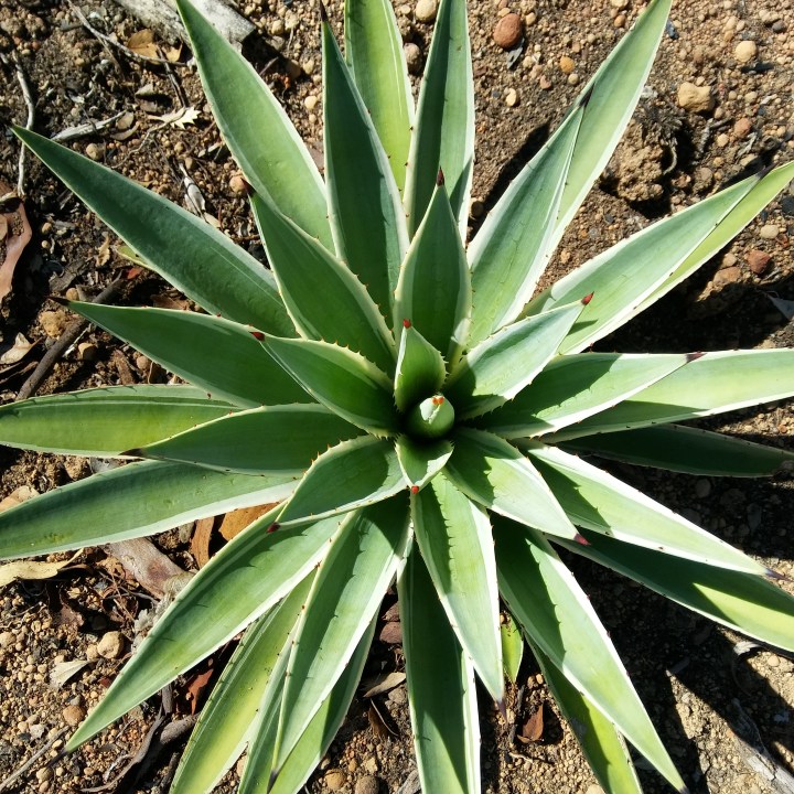 may 2018 download 1125