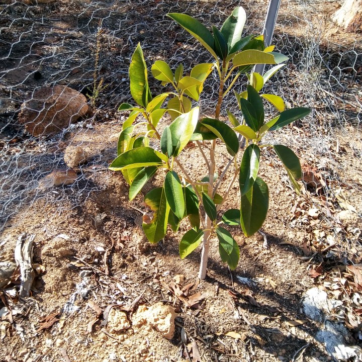 may 2018 download 1132