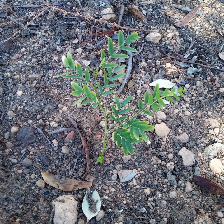 may 2018 download 1137